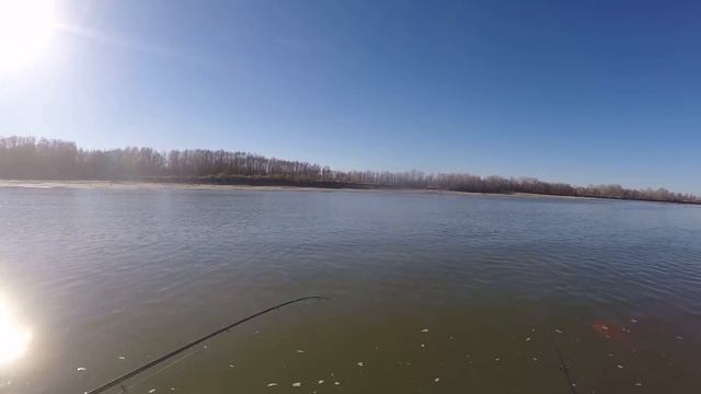 ДА Я СПЛЮ!!! БЕШЕНЫЙ КЛЕВ СУДАКОВ,ЩУК И КОНЕ-ОКУНЕЙ!!!!Джиг поздней осень! смотреть онлайн