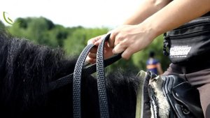 Как правильно держать повод ?