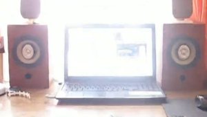 самодельные колонки на автомобильных динамиках sony xplod