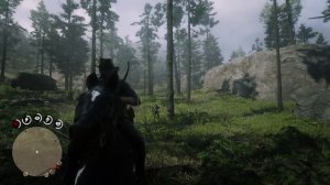 Red Dead Redemption 2 - Шайка Джека Холла. Отсосать змеиный яд. Деревообрабатывающая компания