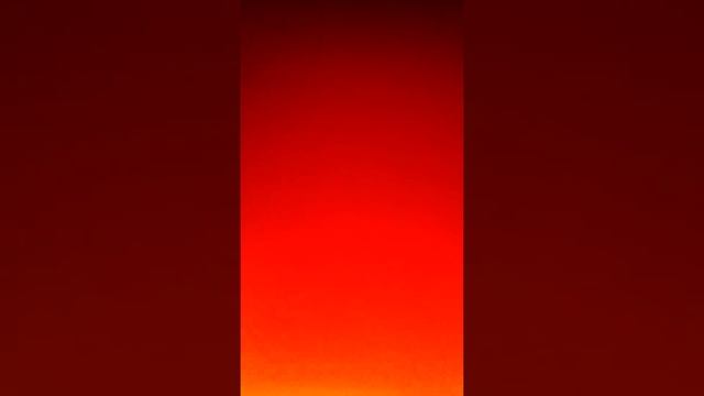 Как едят черепаха и рыбка петушок смотреть онлайн