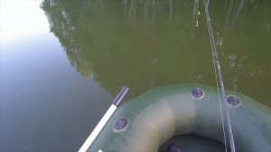 Как я ловлю крупных окуней на микроджиг