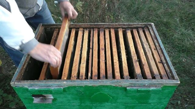 ОШИБКА ПЧЕЛОВОДА С ПОДКОРМКОЙ ПЧЕЛ. Последствия. смотреть онлайн