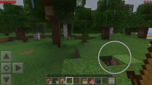 Minecraft  Путешествие, Часть 1,