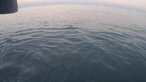 Температура воды в Рыбачьем 25