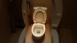 ремонт туалета унитаз jacob delafon микролифт