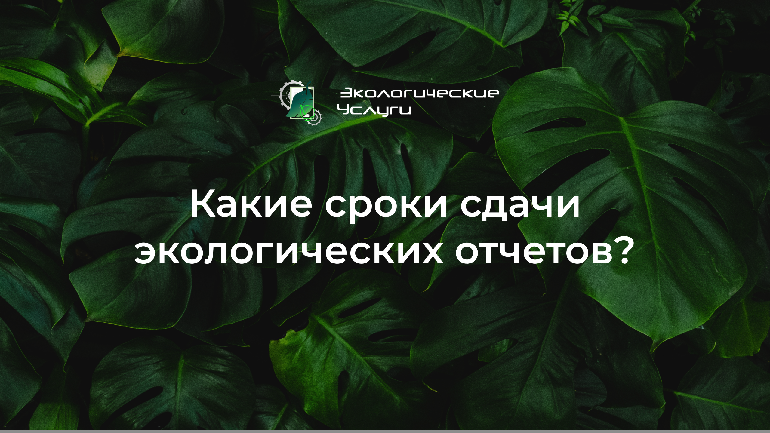 Сроки сдачи экологии. Экологическая отчетность. Что сдавать на эколога.