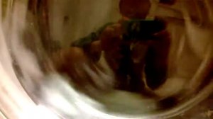 Hoover dynamic synthetics  30 c sudslock spin part 1