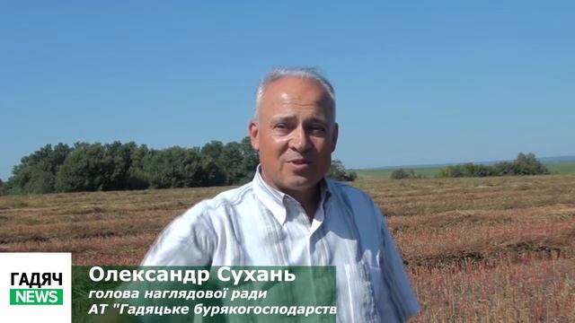 Круп"яні культури на Гадяччині - здобутки і проблеми виробництва