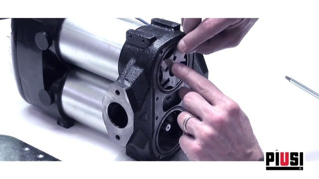 Piusi Bipump - Vanes Replacement смотреть онлайн