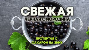 Свежая смородина, протертая с сахаром, на зиму