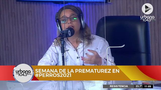 Semana de la prematurez | Columna de Flor Cahn en #Perros2021 - Diga 33 смотреть онлайн