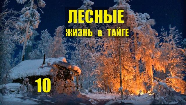 ЛЕСНЫЕ ЛЮДИ ПОДЫМАЮТ ЛЕС ЛЕСОПОВАЛ ТАЁЖНЫЙ РОМАН ЖИЗНЬ в ТАЙГЕ ИСТОРИИ из ЖИЗНИ в ЛЕСУ СЕРИАЛ 10 смотреть онлайн