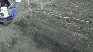 Картошку сажаем ЛопЛошем /От Океаны