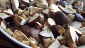 Тушеная картошка с грибами и сметаной
