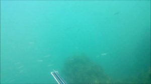 Подводная охота на Чёрном море в Крыму.Весенний ход кефали.