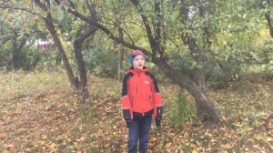 Денис Старков "Осень"