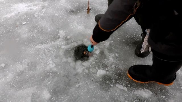 Р.Д.Юрлово.ВИП 26.11.2023 смотреть онлайн