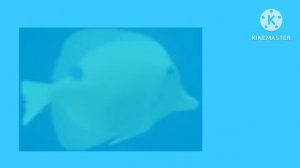 Моланг и его друзья потоп НОВЫЕ СЕРИИ 2024