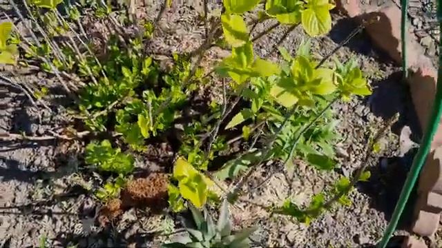 191 Ура! Тепло! Цветы цветут! смотреть онлайн