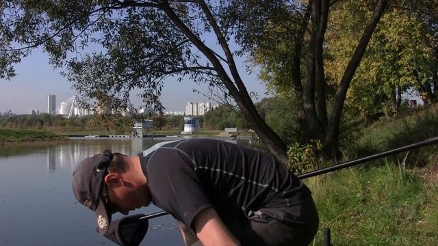 Жирные плотвицы гребного канала. смотреть онлайн