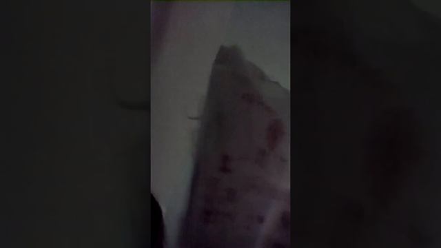 Мы с сестрой сделали подарок для младшего брата ему 5 завтра др смотреть онлайн