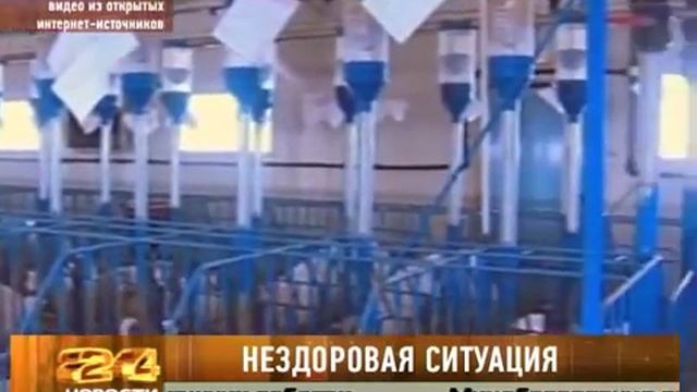 Нездоровая  ситуация