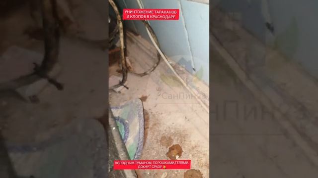Барьер от тараканов. Дохнут все! Дезмастер Краснодар.  8-929-850-10-61