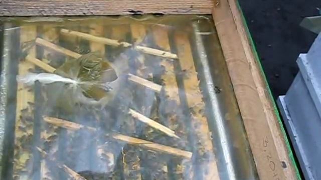 Весенние подкормки.Даю медовую сыту (11.03.2019г.) смотреть онлайн