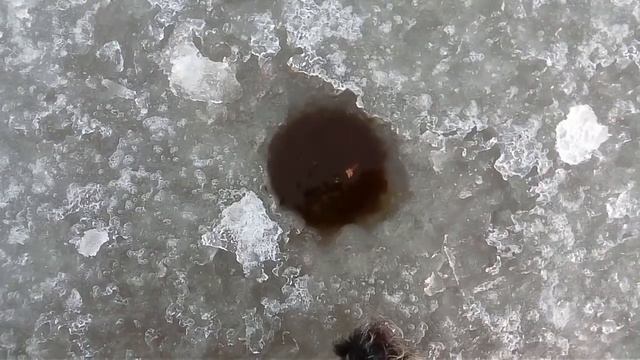 Ловля корюха, как в аквариуме3 смотреть онлайн