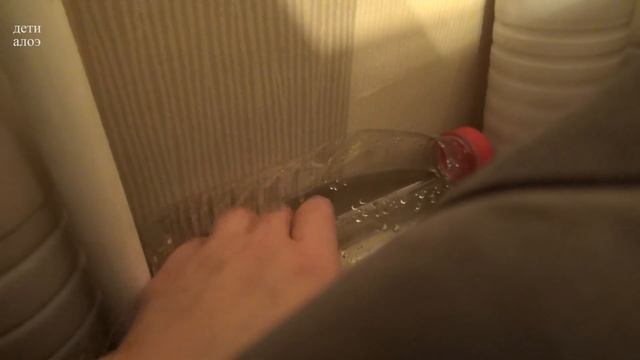 Идеальная зимовка комнатных растений. Увлажняем воздух смотреть онлайн