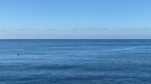 19.10.2023. Погода в Сочи в октябре. Смотри на Чёрное море каждый день.