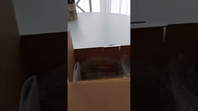 Распоковка и обзор инголятора Omron NE C 24 Kidd смотреть онлайн