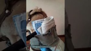 артроз шейного отдела электрофорез