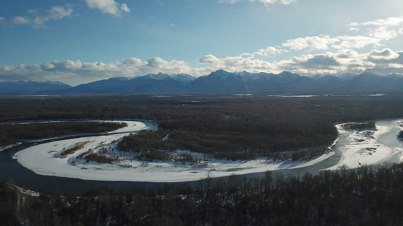 река Жизни смотреть онлайн