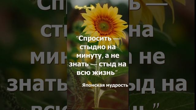 Спросить стыдно | Сказки Суламифь