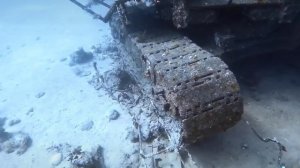 Дайвинг в Египте