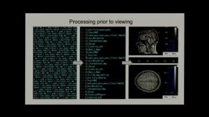 Custom Python Applications in Neuroscience by Simon Salinas and Gagan Sharma