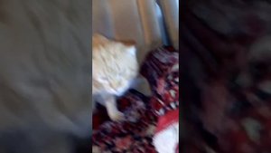 Любовная трещина фильм2