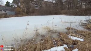 Еще один дикий дачный пруд. Пруд у дачи с крупными карасями. Пруд весной