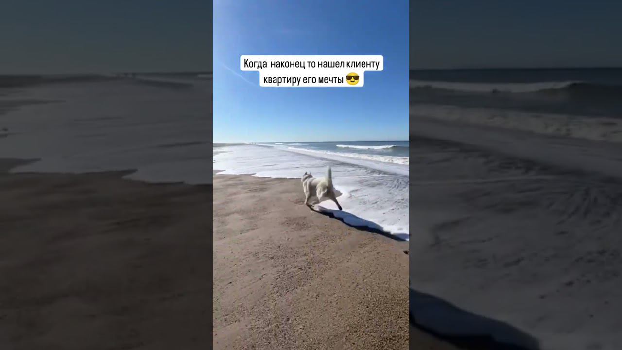 Мы вам поможем