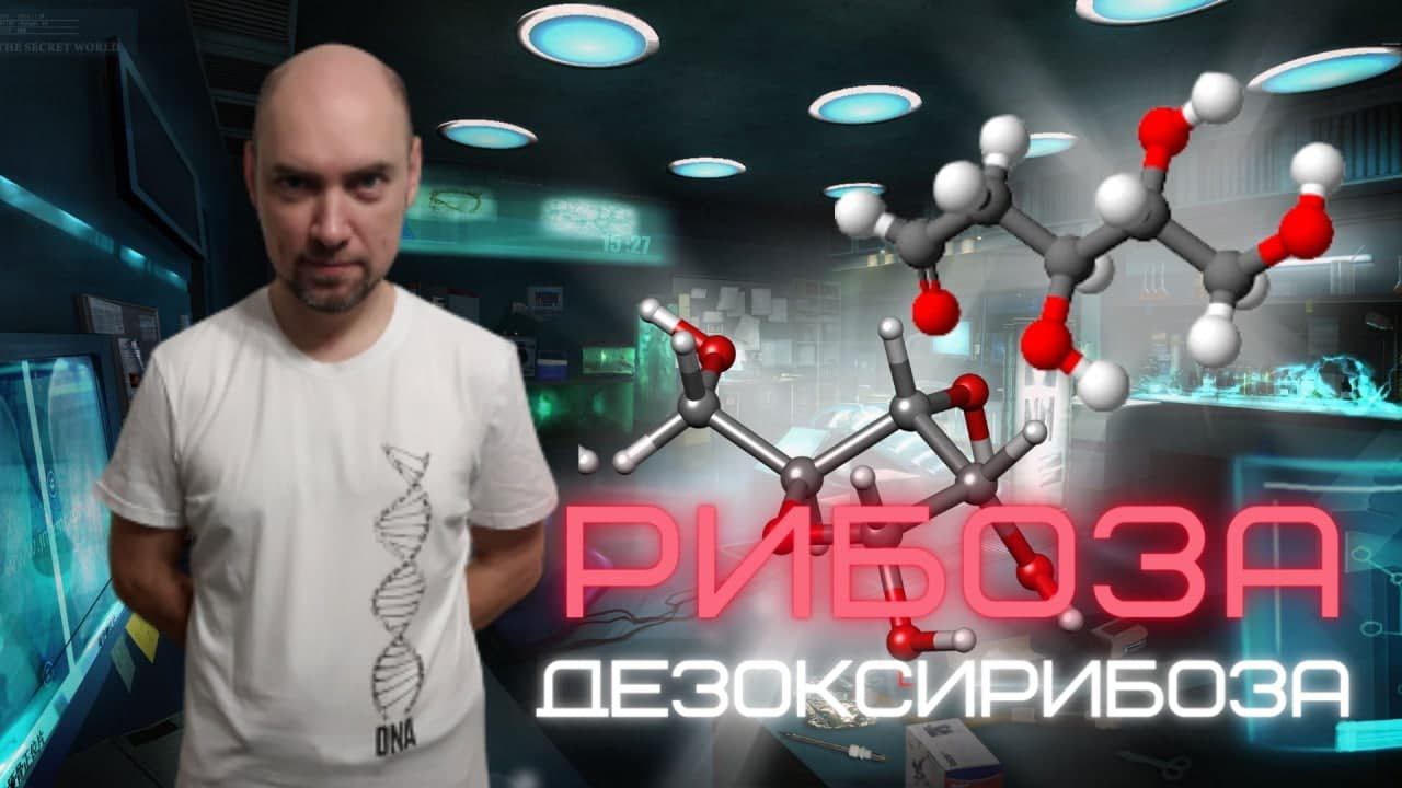 Что такое рибоза и дезоксирибоза? Душкин объяснит