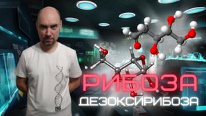 Что такое рибоза и дезоксирибоза? Душкин объяснит