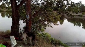 Рыбалка на Ахтубе в Цареве.