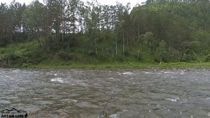 РЫБАЛКА В ГОРНОМ АЛТАЕ. ФОРЕЛЕВЫЕ ОЗЕРА.