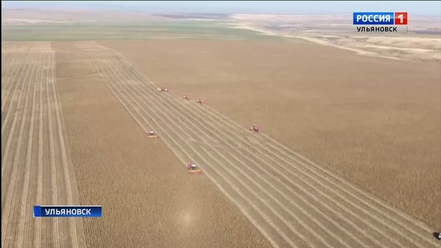 Более 300 участников со всего Поволжья смотреть онлайн