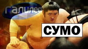 Галилео | 0117 🤼 Сумо