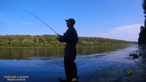 ОКУНЬ ГЛОТАЕТ "ПУЛЬСАР". Рыбалка на ОКЕ на ОТВОДНОЙ ПОВОДОК.