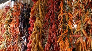 Красный перец. 15 часто задаваемых вопросов