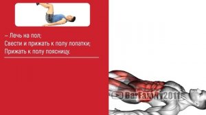 Делай Эти Упражнения по 1 Минуте и Через 14 Дней Увидишь Свой Пресс